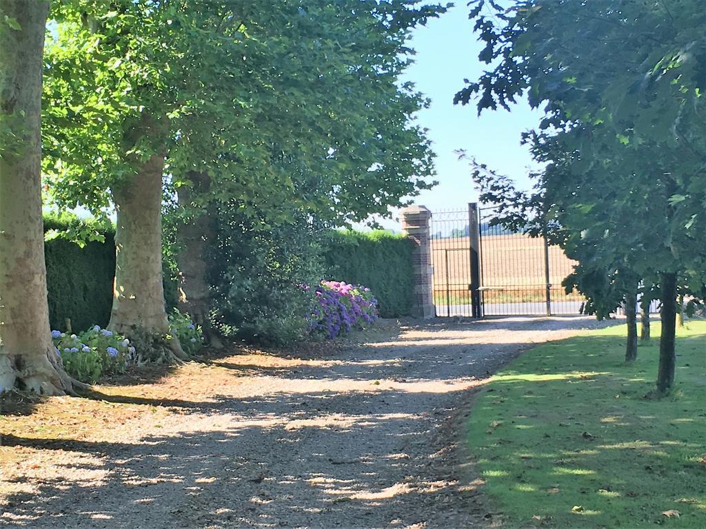 Domaine Du Chateau De Bourville Bermonville Exterior foto