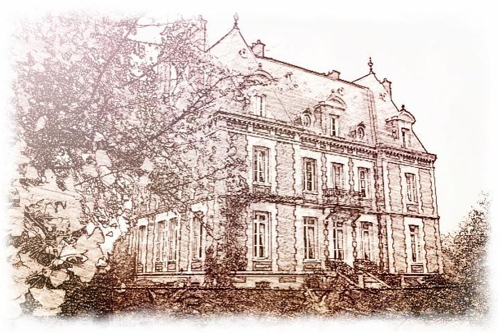 Domaine Du Chateau De Bourville Bermonville Exterior foto